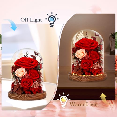 Real Red Roses in Glass Dome with LED Lights W74009
