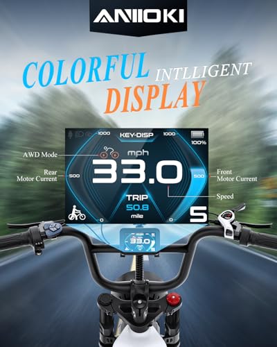 48/52V 60Ah Electric Commuting Bike X2519