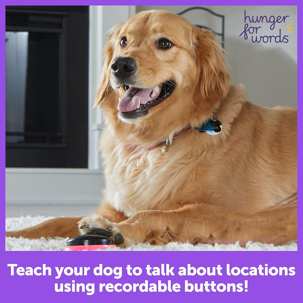 3 Piece Set of Recordable Speech Buttons for Dogs H396