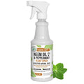 Natural Plant Spray, 16oz Y36467