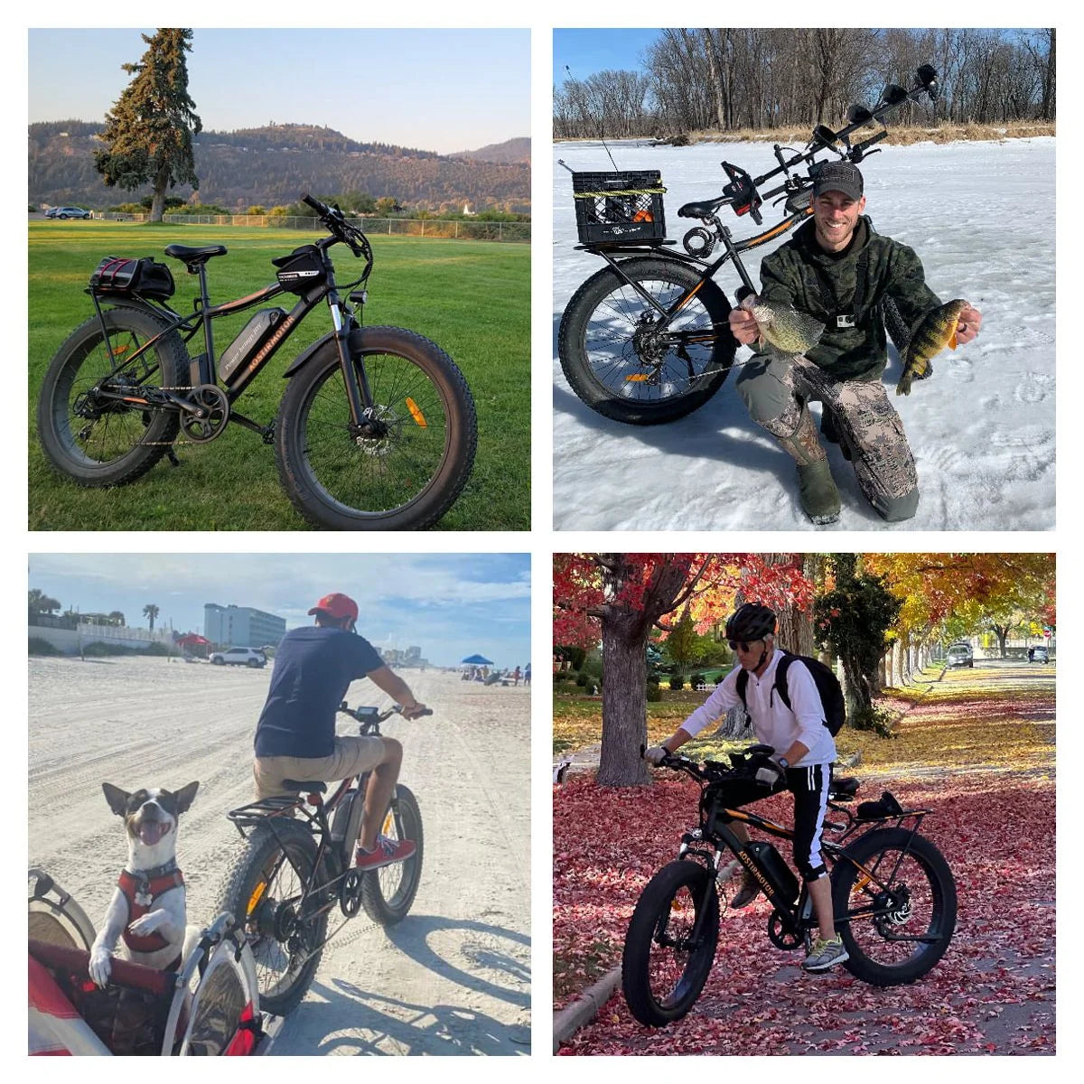 26" 4.0 inch Fat Tire Electric Mountain Bike with Removable Lithium Battery H100