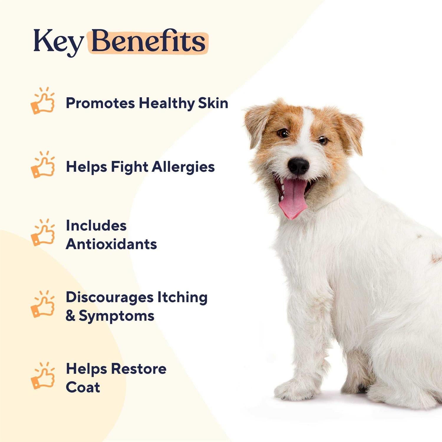 Skin & Coat Soft Chews F123149