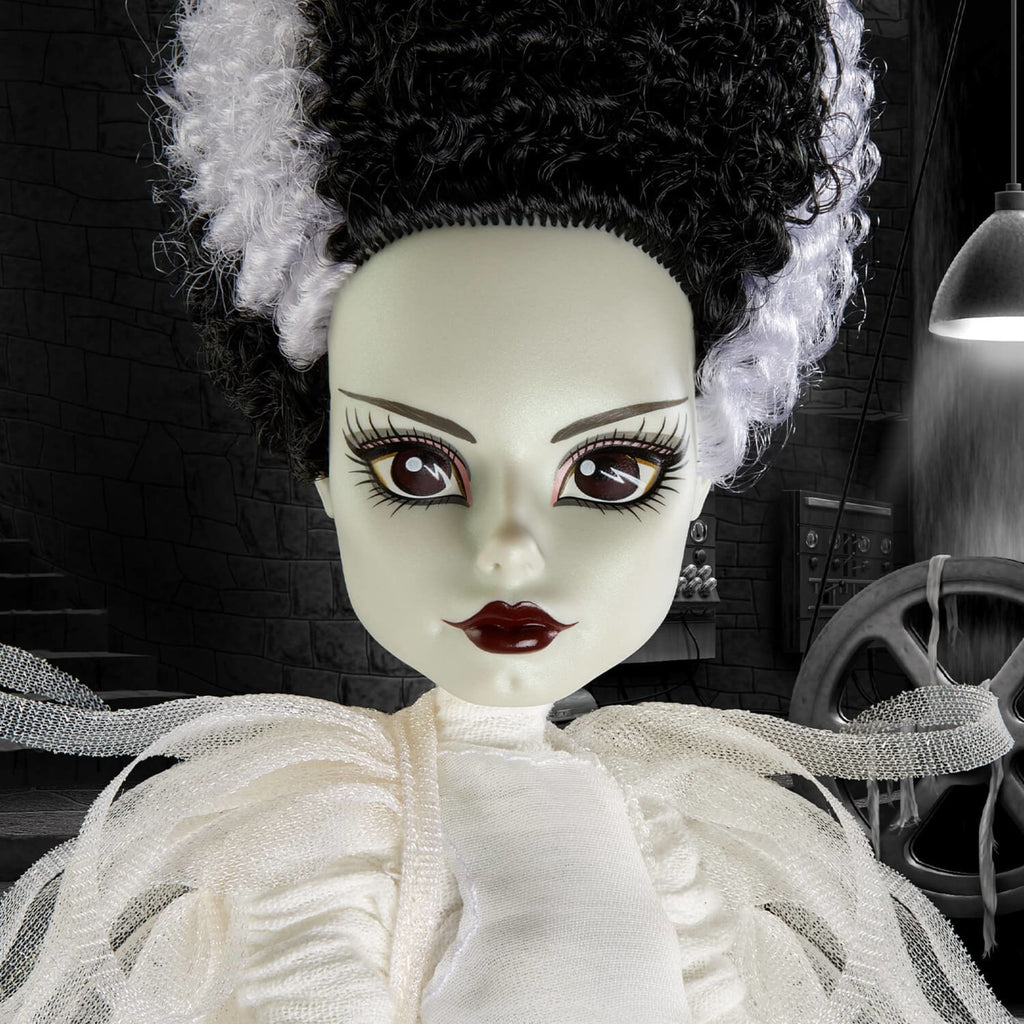 Monster High Skullector Doll Set R35073