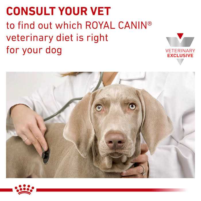Gastrointestinal Canine Treats V523