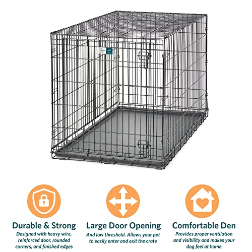 XL Folding Metal Dog Crate with Divider Panel, 48L x 30W x 33H Inches A350