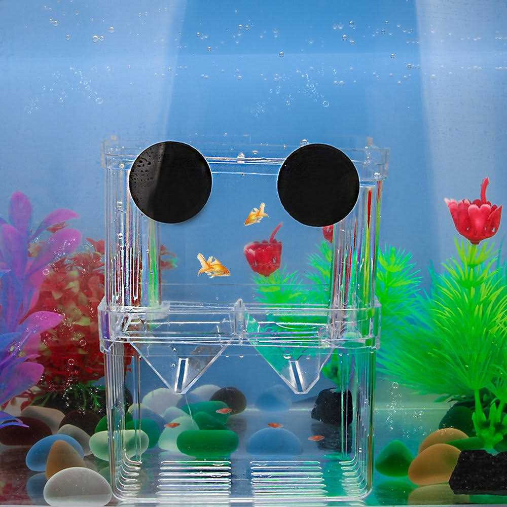 Plastic Fish Isolation Breeding Box A762906