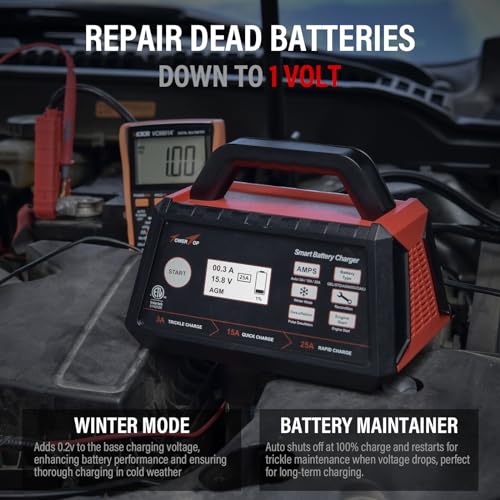 12V Fully Automatic Smart Battery Charger N262095