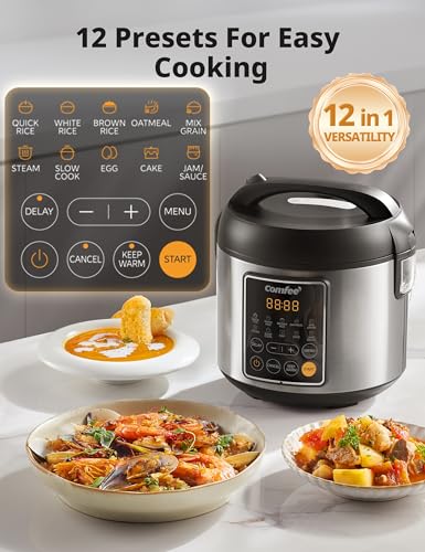 Compact Stainless Steel Rice Cooker, 2 QT H610