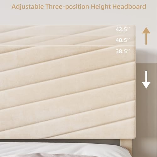 King Size Velvet Upholstered Platform Bed with Adjustable Headboard H463669