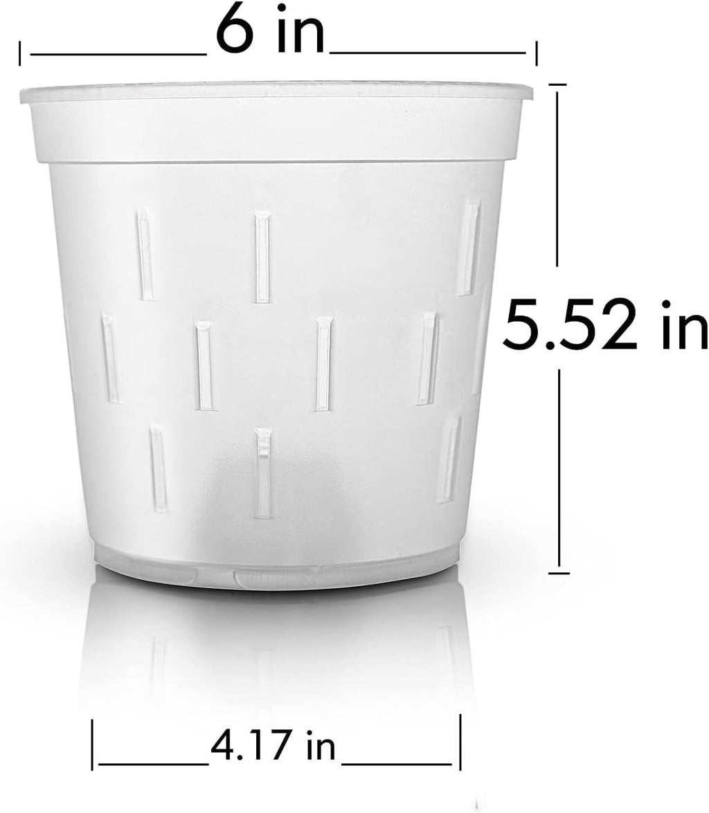 Clear Orchid Pot 6 Inch 5Pack Plastic Planter D751559