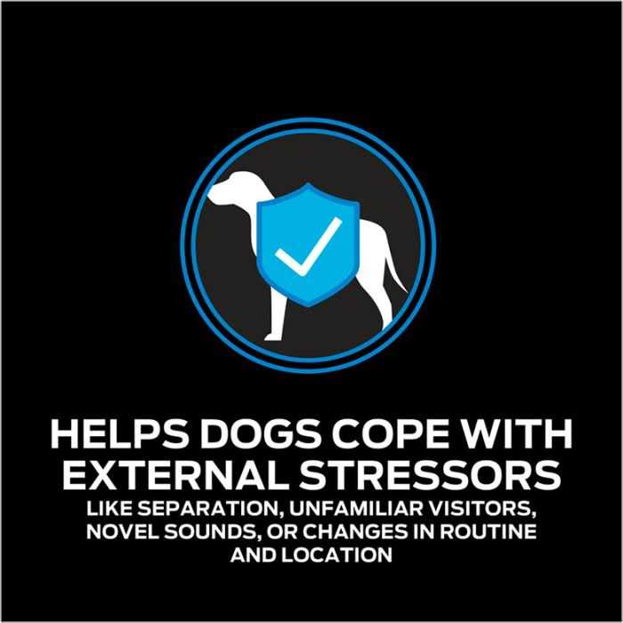 Calming Care Pet Supplements W52575