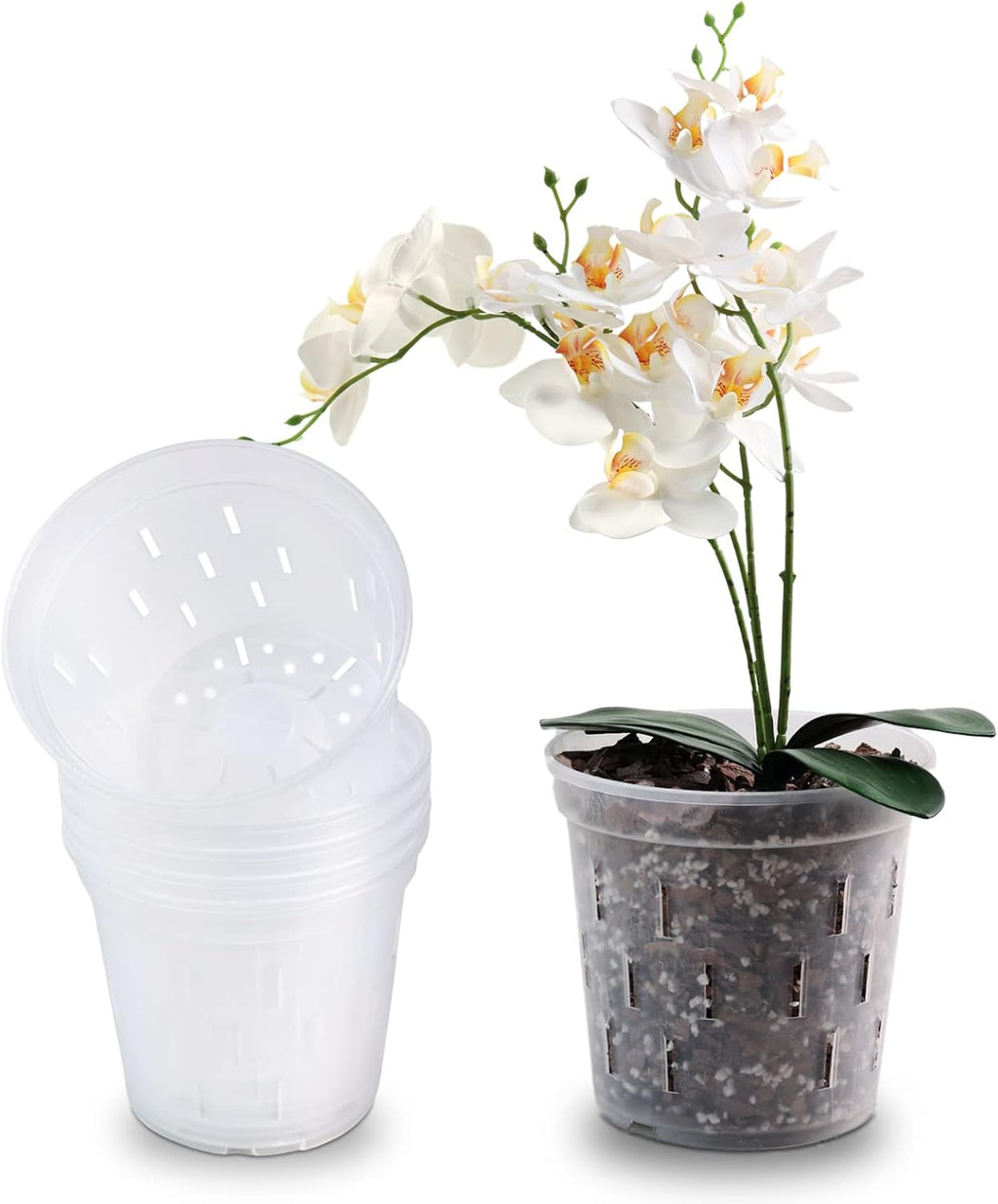 Clear Orchid Pot 6 Inch 5Pack Plastic Planter D751559