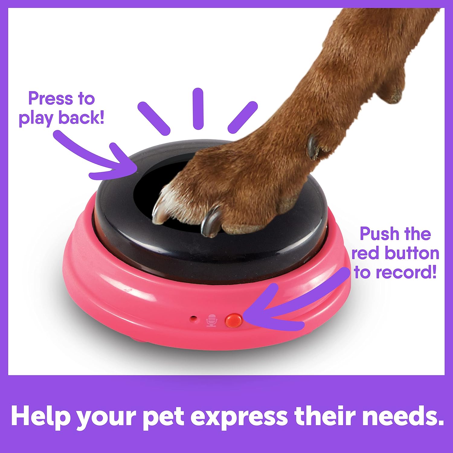 3 Piece Set of Recordable Speech Buttons for Dogs H396