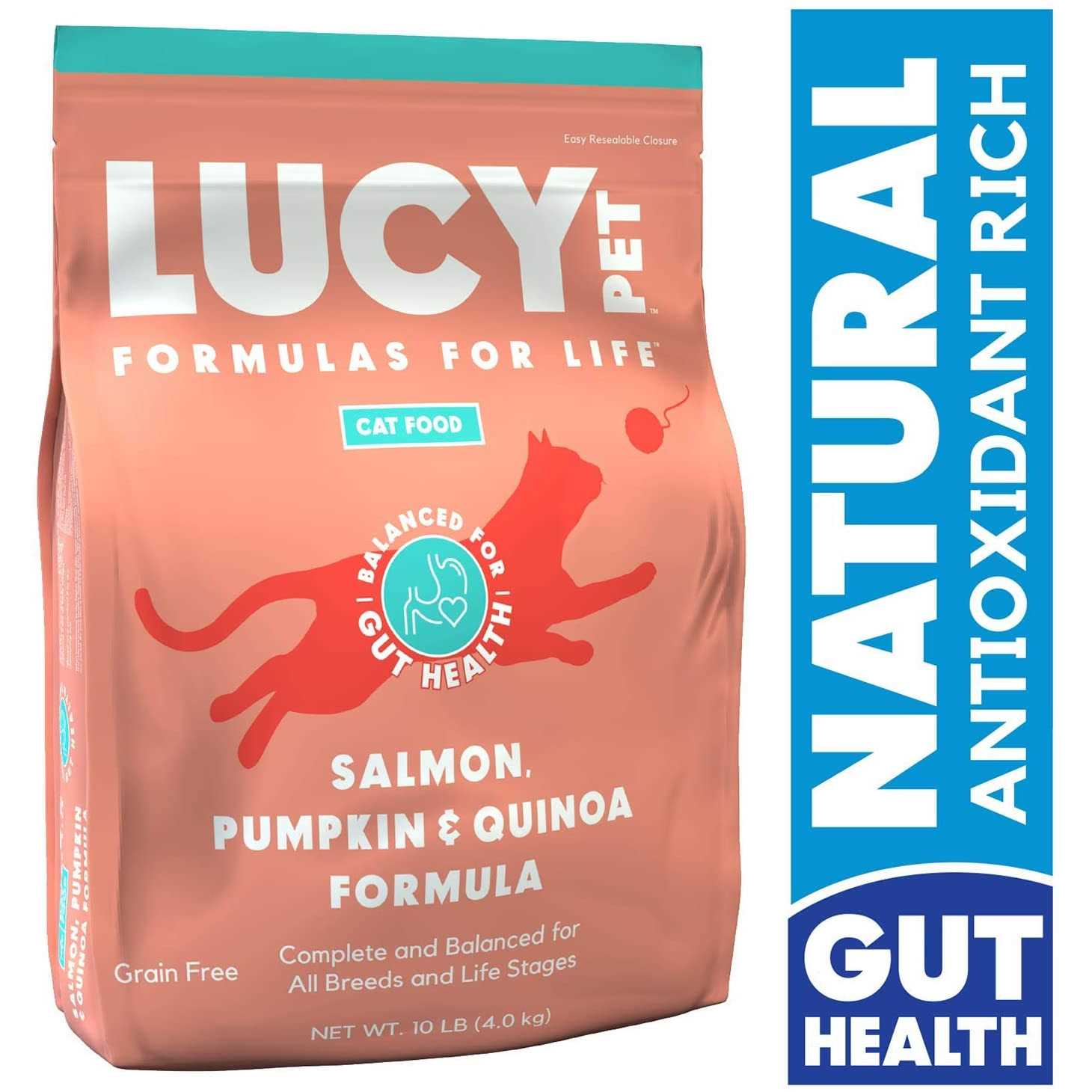 Dry Cat Food Salmon L183905