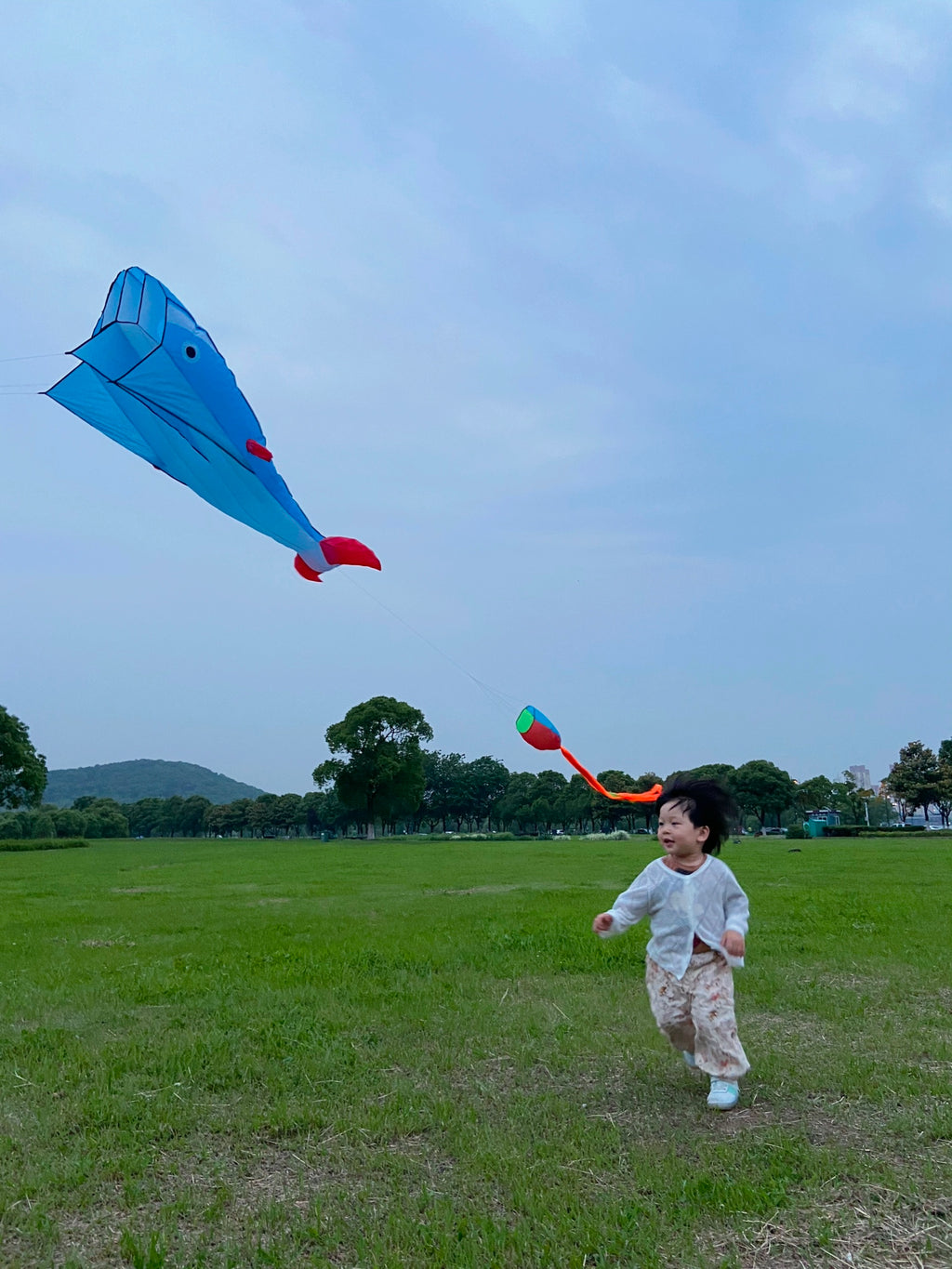 Blue Polyester 78inch Whale Dolphin Kite F146