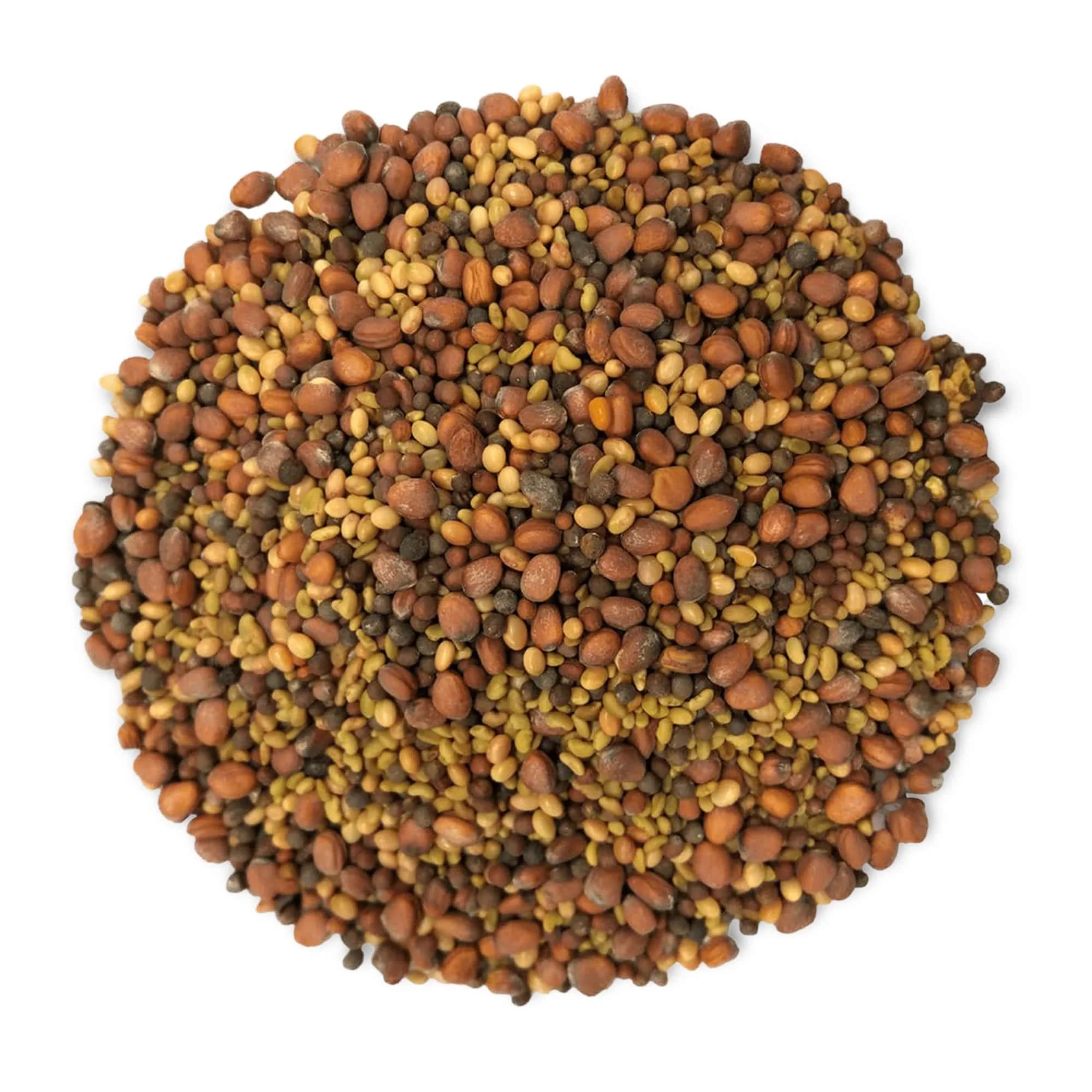 5 Pounds Sprouting Seeds Salad Mix W695