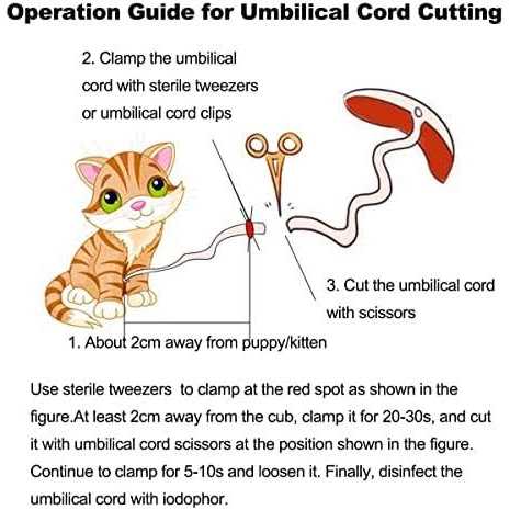 12pcs Whelping Kit with Whelping Collars and Puppy Feeding Tube Y551639