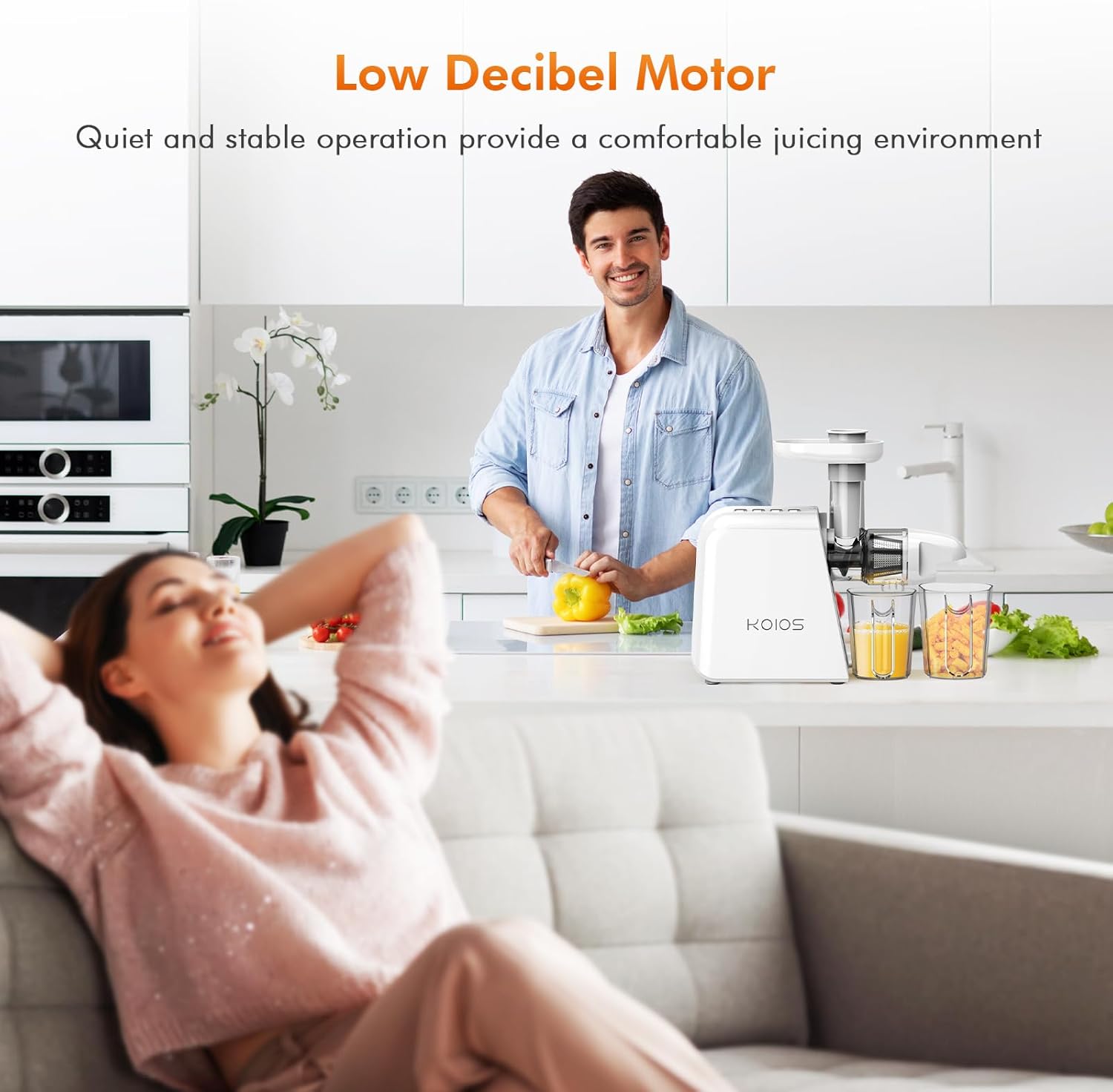 Cold Press Masticating Juicer with Two Speed Modes S752