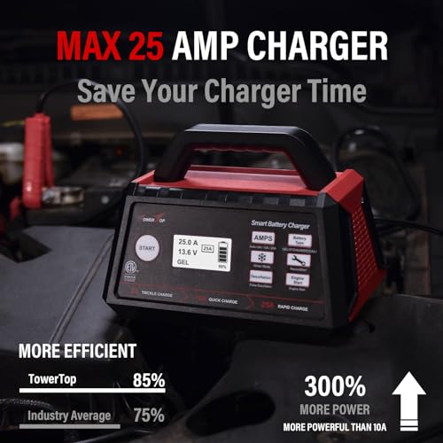 12V Fully Automatic Smart Battery Charger N262095