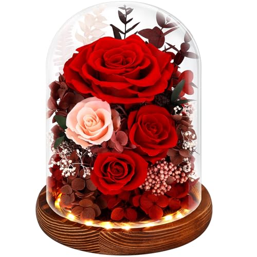 Real Red Roses in Glass Dome with LED Lights W74009