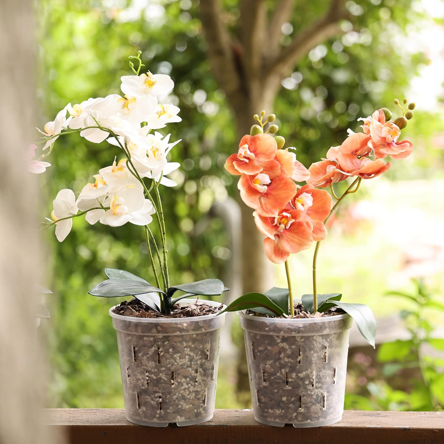Clear Orchid Pot 6 Inch 5Pack Plastic Planter D751559