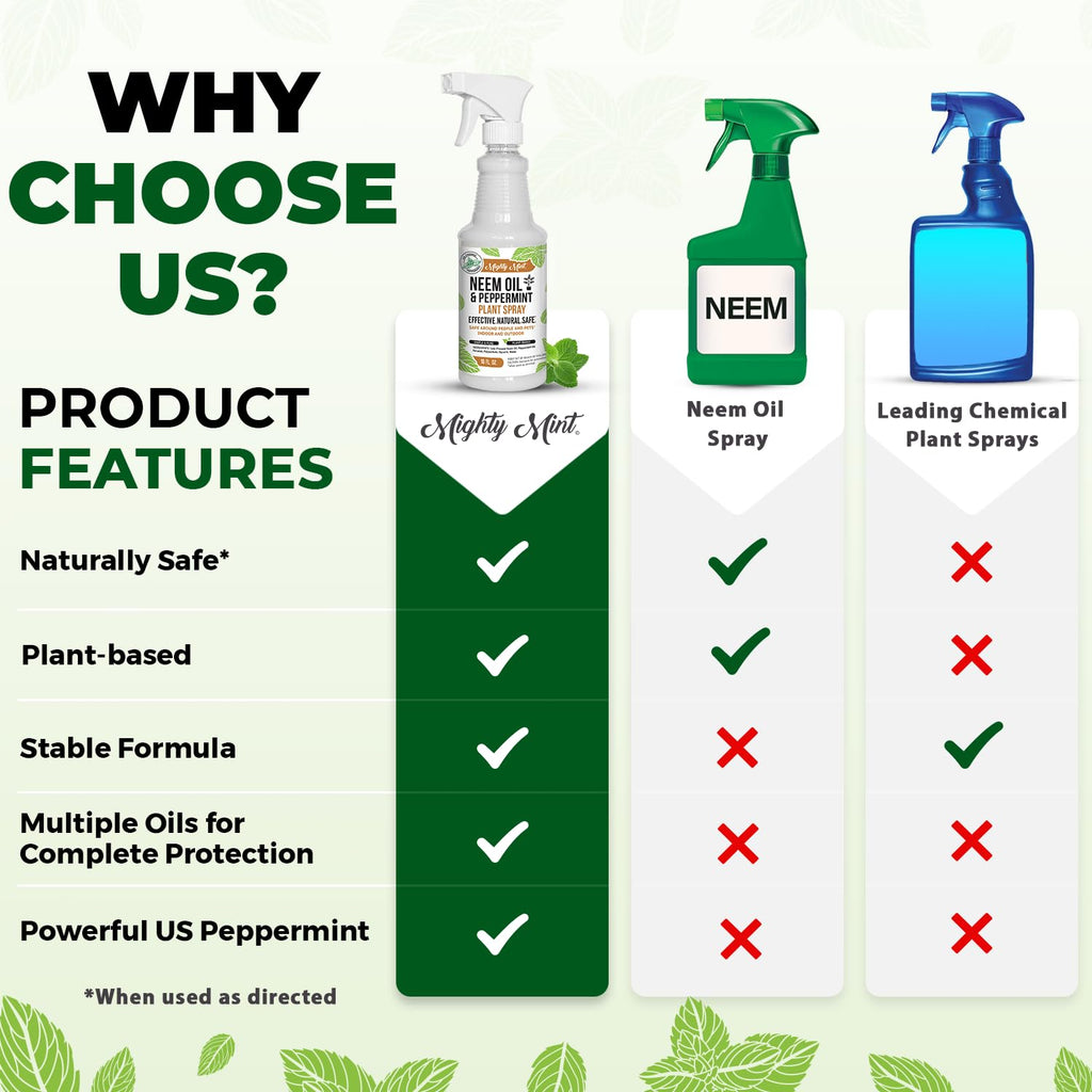 Natural Plant Spray, 16oz Y36467