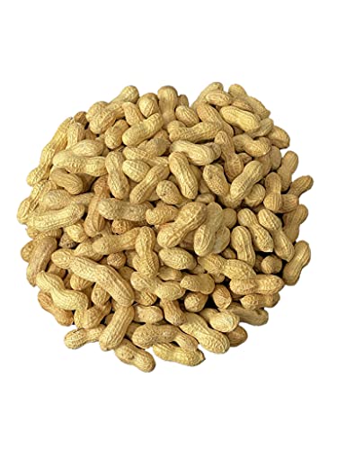 Raw Peanuts in Shell 10LB L10591