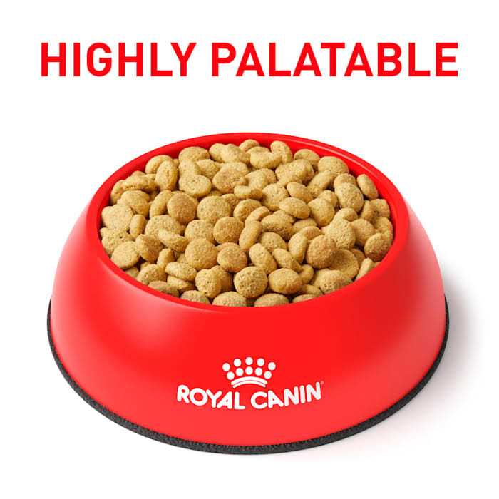 Veterinary Satiety Weight Management Pet Supplies M843517