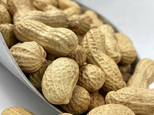 Raw Peanuts in Shell 10LB L10591