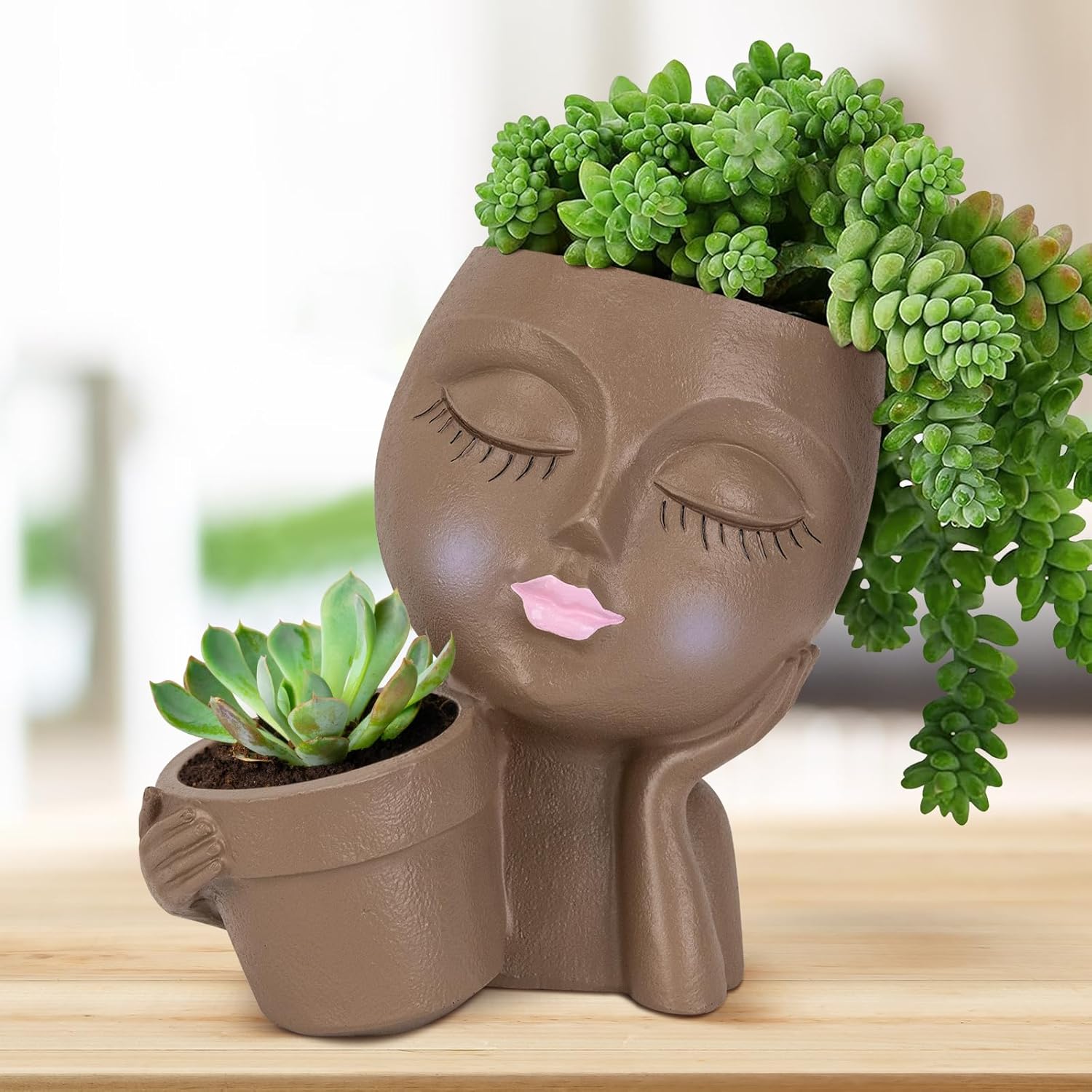Brown Resin Face Planter Pot with Drainage Hole S799