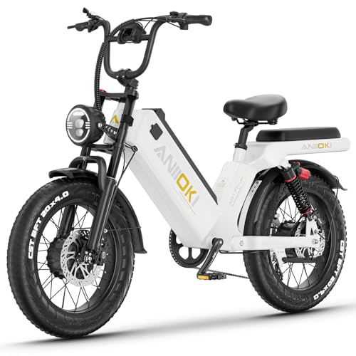 48/52V 60Ah Electric Commuting Bike X2519