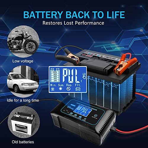 20 Amp Lithium Battery Charger, 12V and 24V Lifepo4, Lead-Acid Portable Car Battery Charger V704