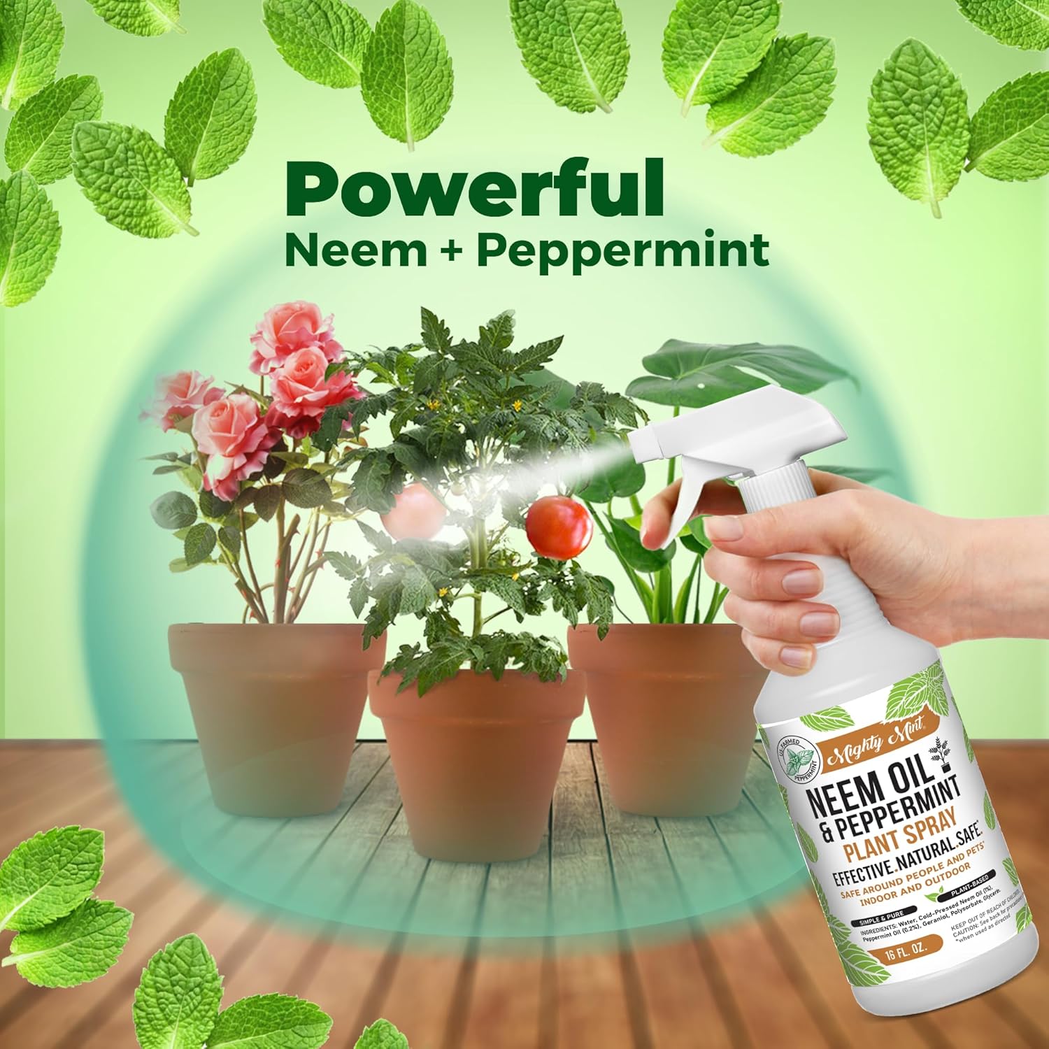 Natural Plant Spray, 16oz Y36467