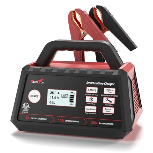 12V Fully Automatic Smart Battery Charger N262095