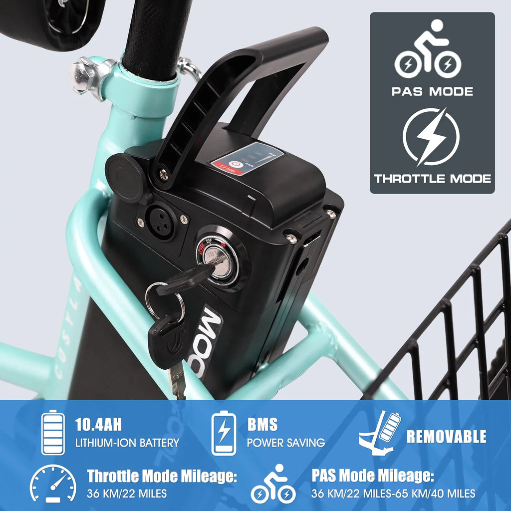 3 Wheel Electric Tricycle with Removable Lithium Battery G421850