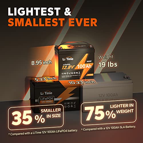LiFePO4 Battery Built in BMS W169209