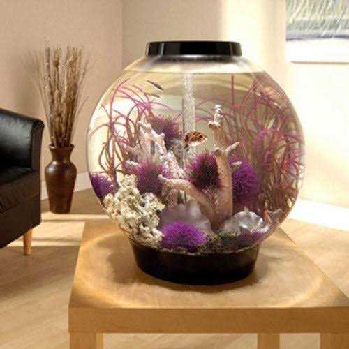 Classic 60 Aquarium with LED A877