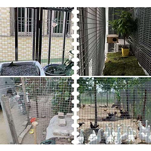 Galvanized Wire Mesh Poultry Fence H308407