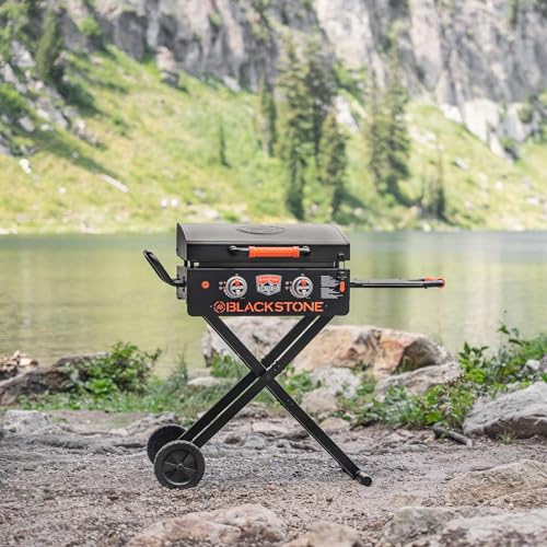 22” Stainless Steel Gas Griddle with Hood D901