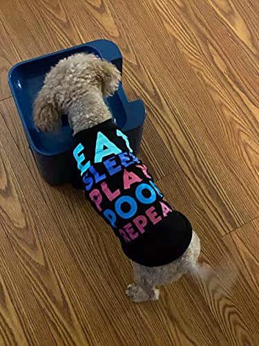 Rechargeable Automatic Dog Ball Launcher with Remote Control and 3 Balls (2.5 inches) O733