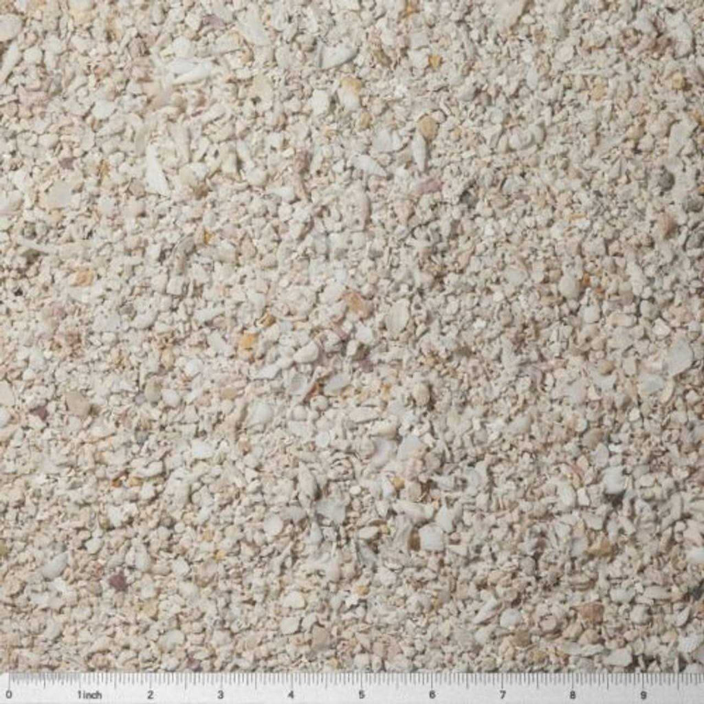 Special Grade Reef Sand L3548