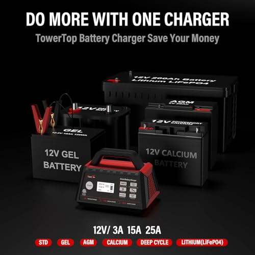 12V Fully Automatic Smart Battery Charger N262095