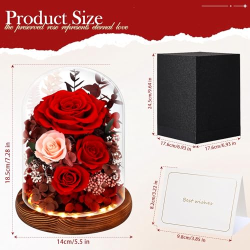 Real Red Roses in Glass Dome with LED Lights W74009