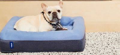 Large Dog Bed in Blue U587838