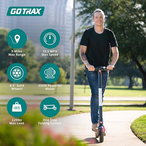 Electric Scooter with 8.5" Solid Tire, 250W Motor, Aluminum Alloy Frame O272711