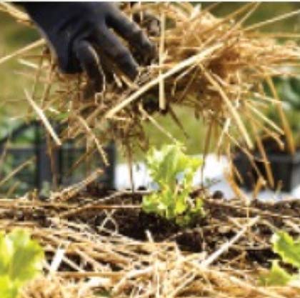 120 sq. ft. Organic Straw Mulch Cover V54436