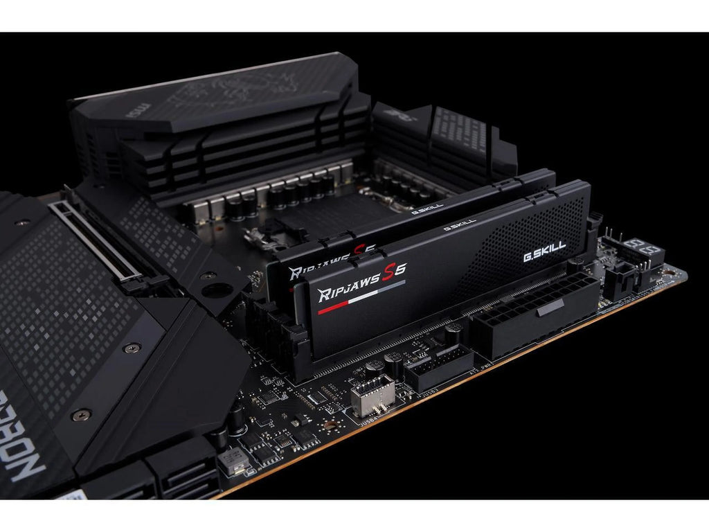 64GB (2 x 32GB) DDR5 5600 Desktop RAM Z70221