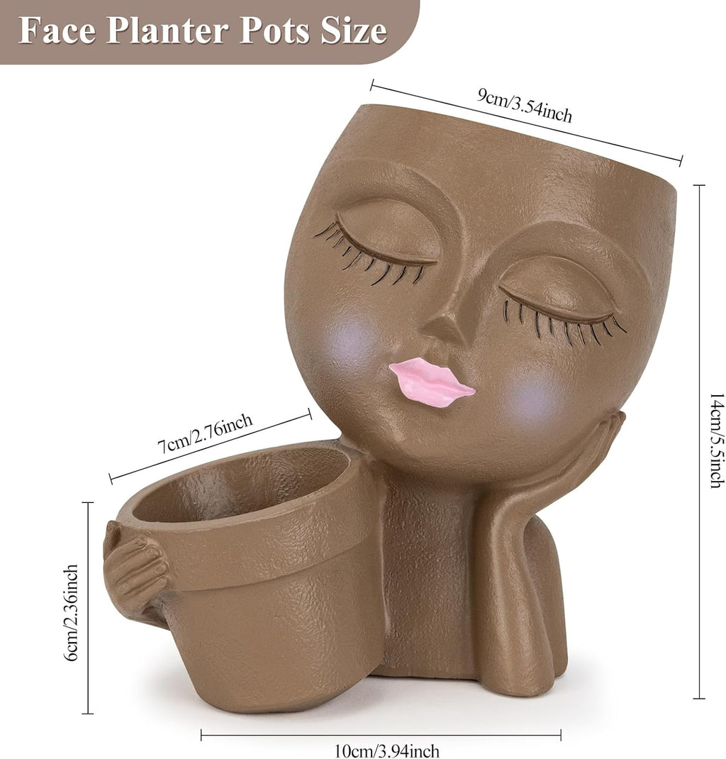 Brown Resin Face Planter Pot with Drainage Hole S799