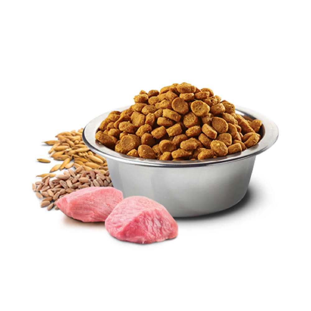 Chicken & Pomegranate Adult Dry Cat Food S79164