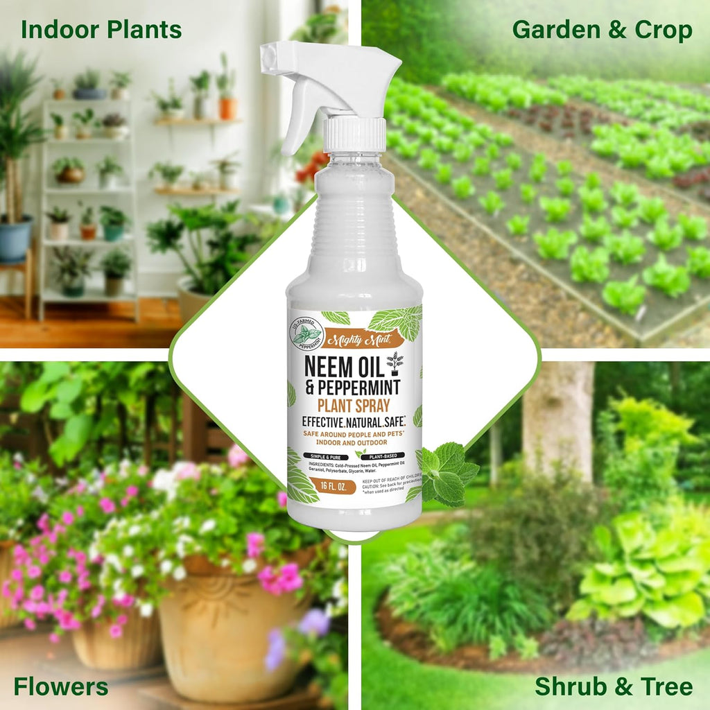 Natural Plant Spray, 16oz Y36467